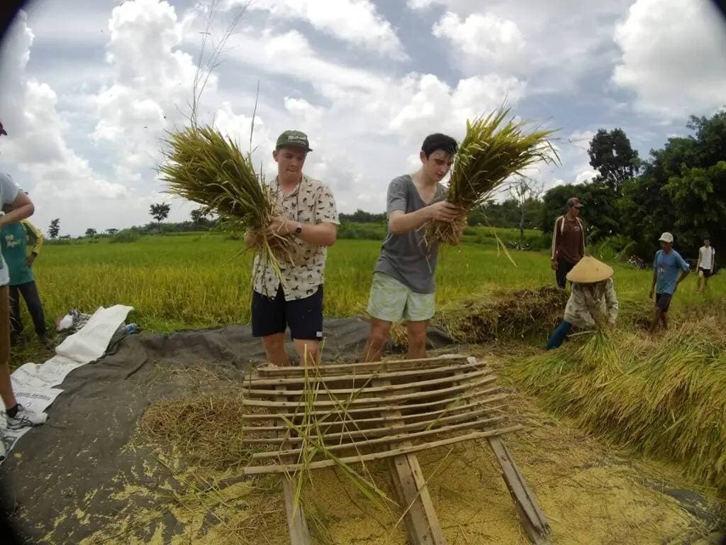 1506503159 ISAW0229 (2)