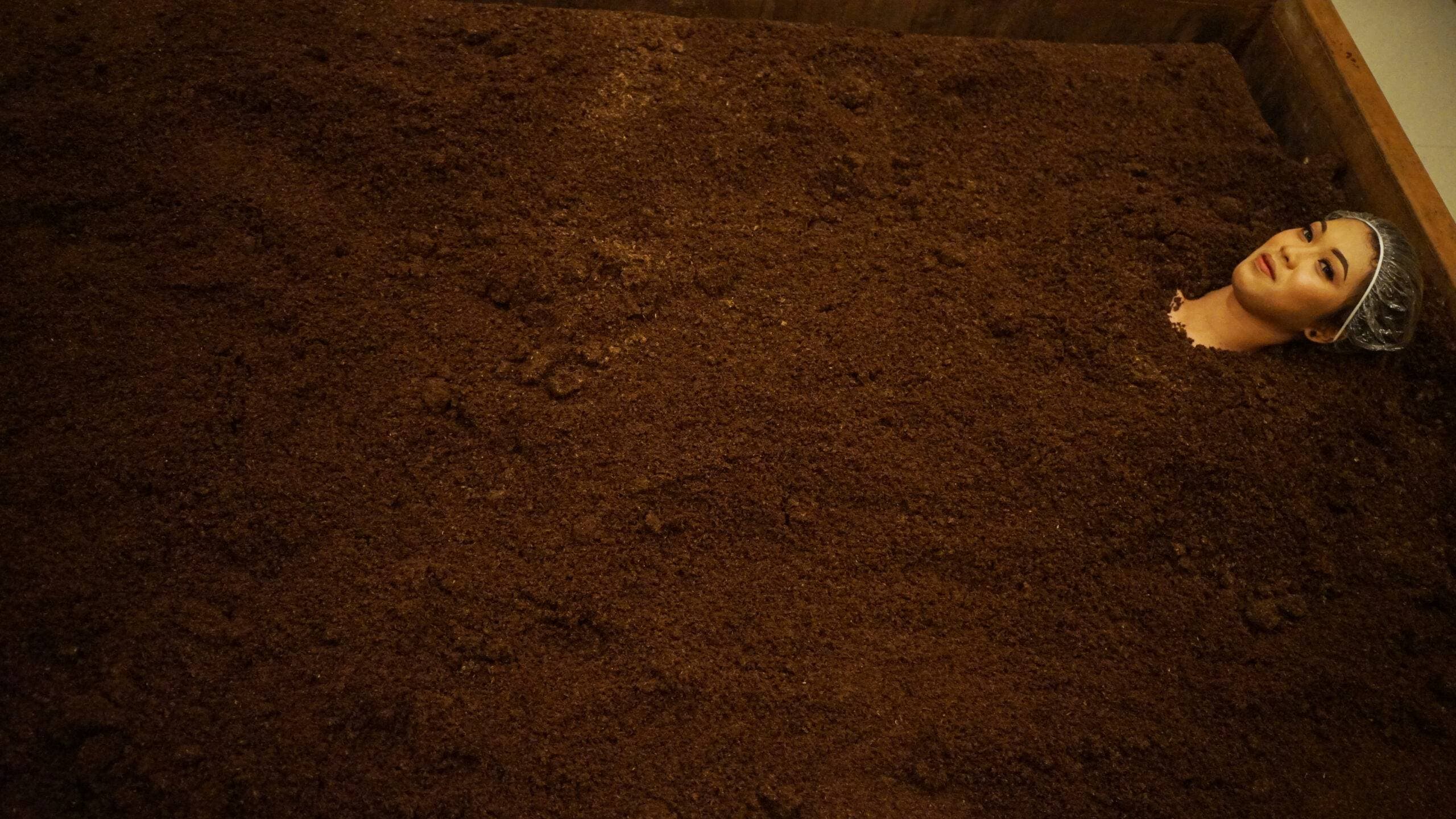 DSC00138i