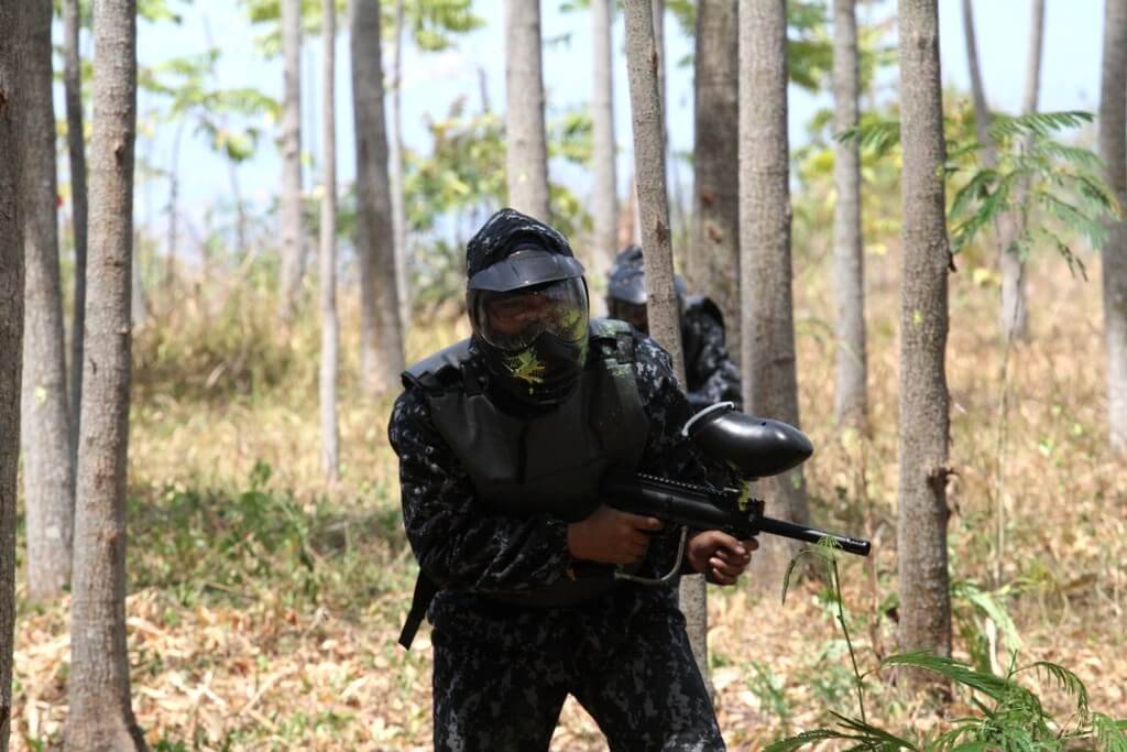 Caliandra paint ball