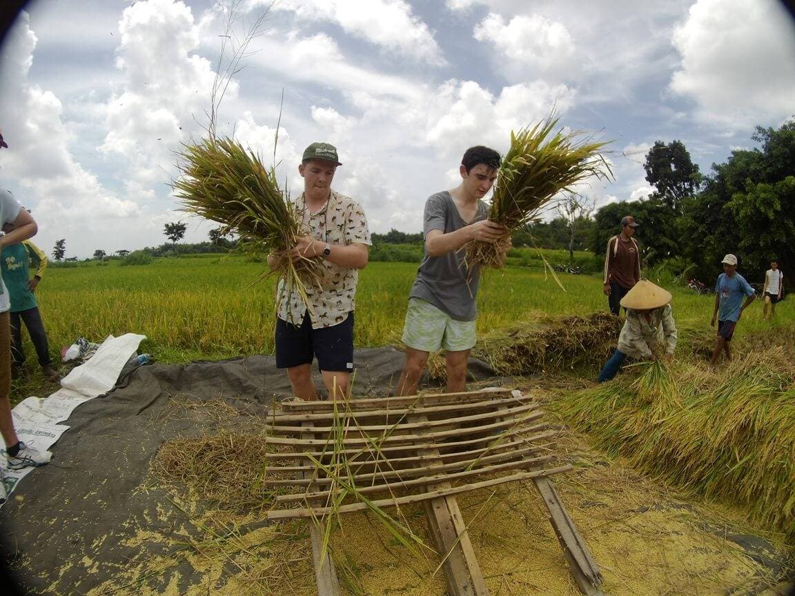 Kaliandra resort organic farm experience village tour harvesting